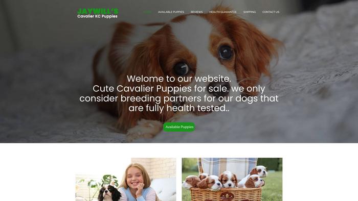 Jaywillscavalierkingcharlespuppies.com - Cavalier King Charles Spaniel Puppy Scam Review