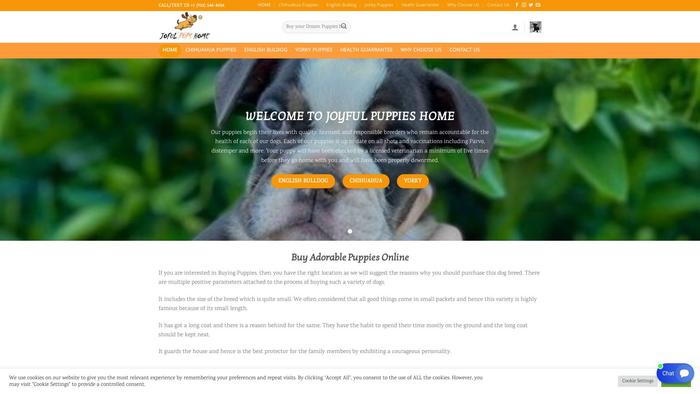 Joyfulpupshome.com - Chihuahua Puppy Scam Review