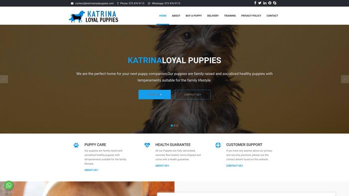 Katrinaloyalpuppies.com - Yorkshire Terrier Puppy Scam Review