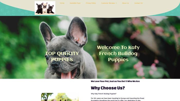 Katyfrenchies.com - French Bulldog Puppy Scam Review