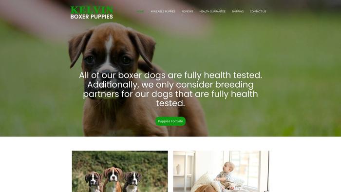 Kelvinboxerpuppies.com - Boxer Puppy Scam Review