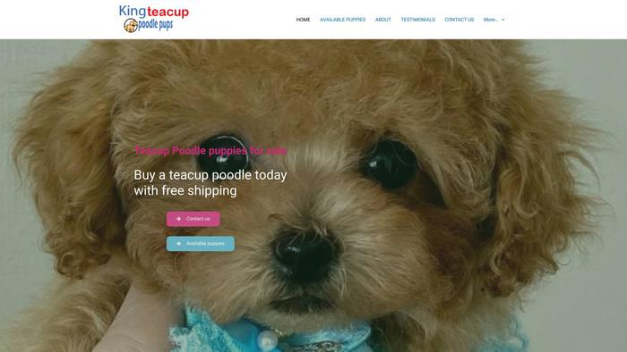 Kingteacuppoodlepups.com - Poodle Puppy Scam Review