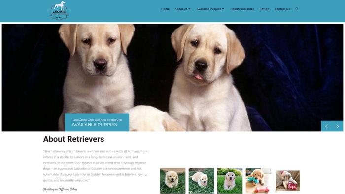 Leonieretrieverpuppies.com - Golden Retriever Puppy Scam Review