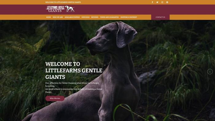 Littlefarmgiants-au.com - Great Dane Puppy Scam Review