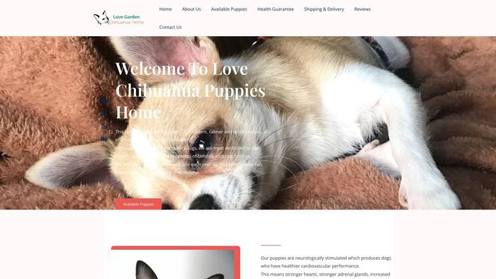 Lovechihuahuahome.com - Chihuahua Puppy Scam Review