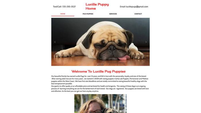 Lucillepugs.com - Pug Puppy Scam Review