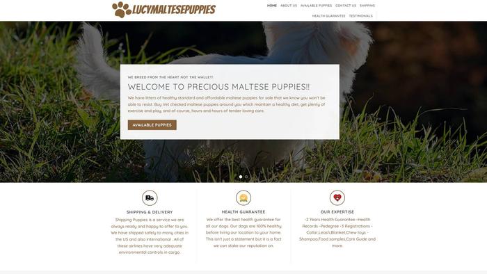 Lucymaltesepuppies.com - Maltese Puppy Scam Review