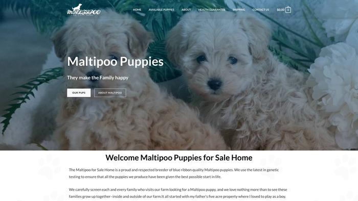 Maltipooforsalehome.com - Maltipoo Puppy Scam Review