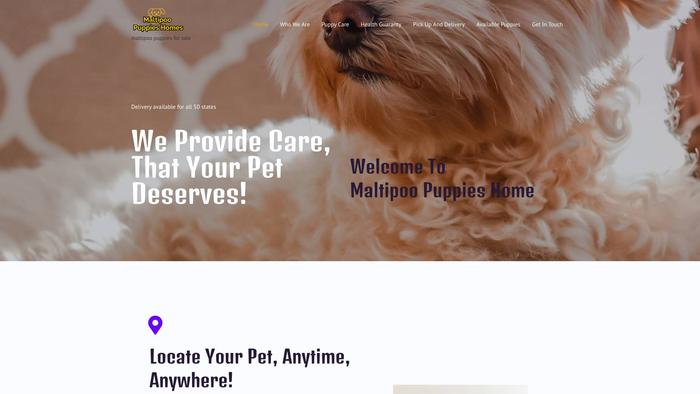 Maltipoopuppyshome.com - Maltipoo Puppy Scam Review