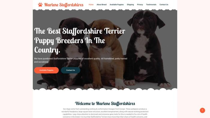 Marlenestaffordshires.info - Terrier Puppy Scam Review