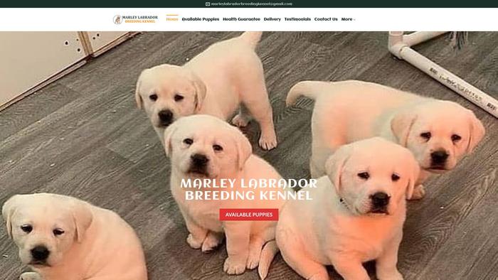 Marleylabradorbreedingkennel.com - Labrador Puppy Scam Review