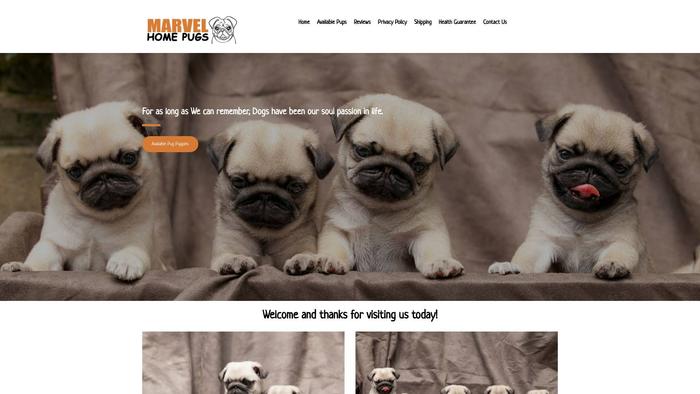 Marvelhomepugs.com - Pug Puppy Scam Review