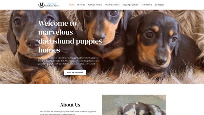 Marvelousdachsundhomes.com - Dachshund Puppy Scam Review