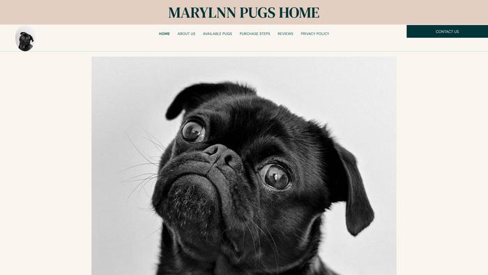 Marylnnpugshome.com - Pug Puppy Scam Review