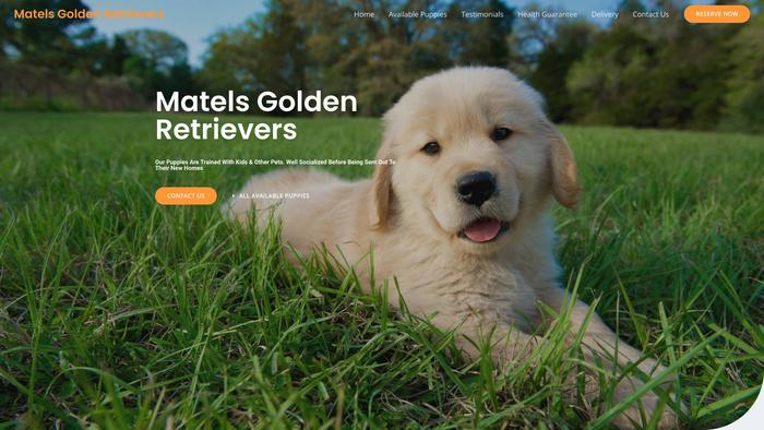 Matelsgoldenretrievers.com - Golden Retriever Puppy Scam Review