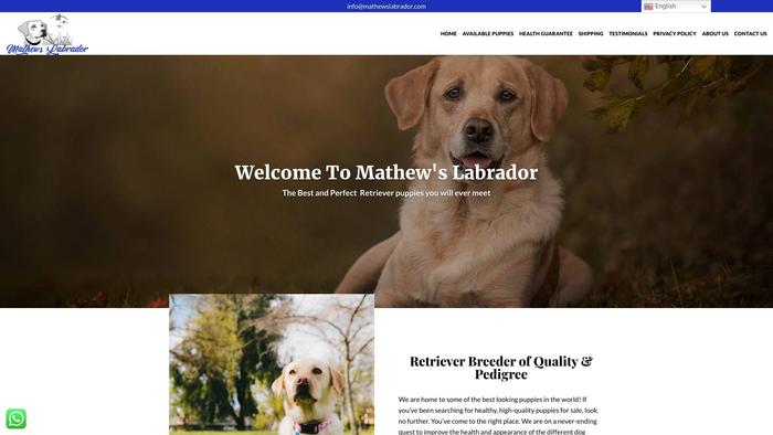 Mathewslabrador.com - Golden Retriever Puppy Scam Review