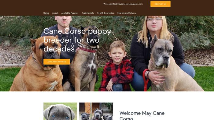 Maycanecorsopuppies.com - Cane Corso Puppy Scam Review