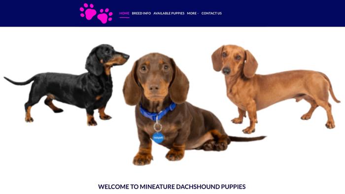 Mini-dachshundpuppies.com - Dachshund Puppy Scam Review