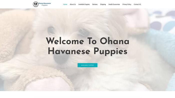 Ohanahavanesepupies.com - Havanese Puppy Scam Review