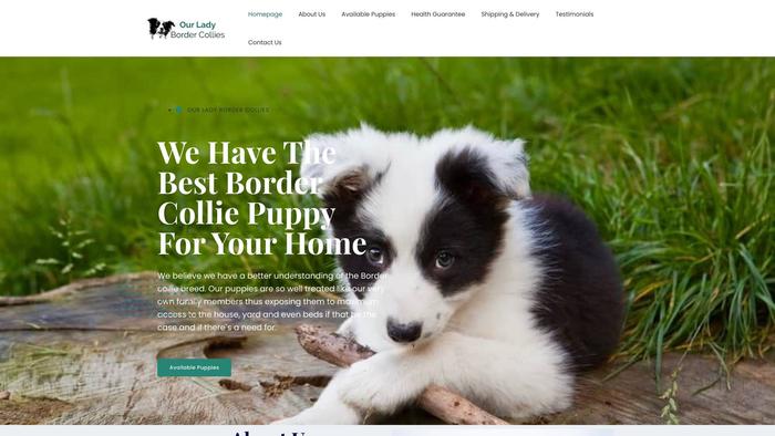 Ourladybordercollies.net - Bordercollie Puppy Scam Review