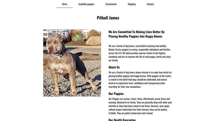 Pitbulljames.com - Pit Bull Puppy Scam Review