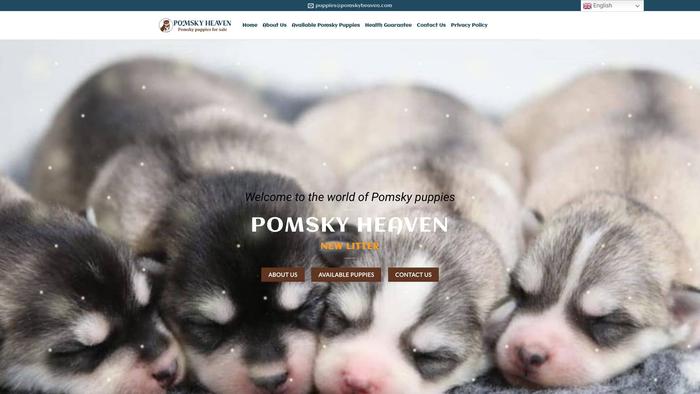 Pomskyheaven.com - Pomeranian Puppy Scam Review