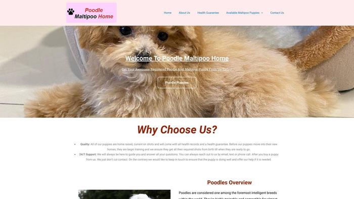 Poodlemaltipoohome.com - Maltipoo Puppy Scam Review