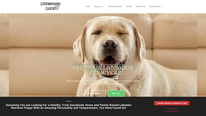 Preciouslabradorretrievers.com - Golden Retriever Puppy Scam Review