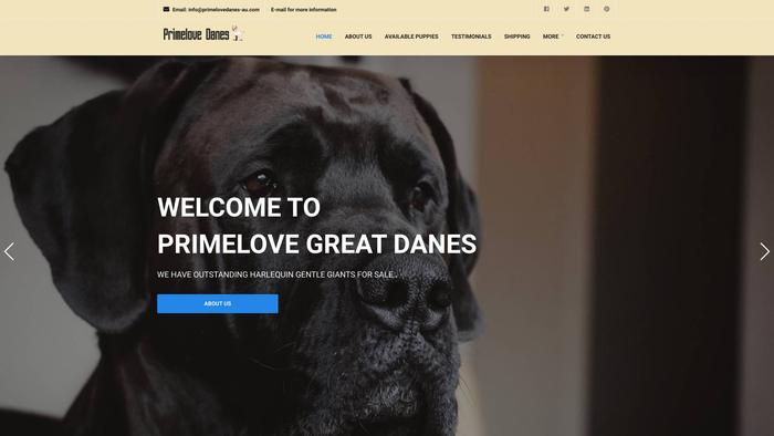 Primelovedanes-au.com - Great Dane Puppy Scam Review