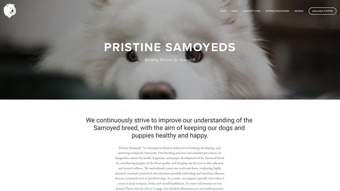 Pristinesamoyeds.com - Samoyed Puppy Scam Review