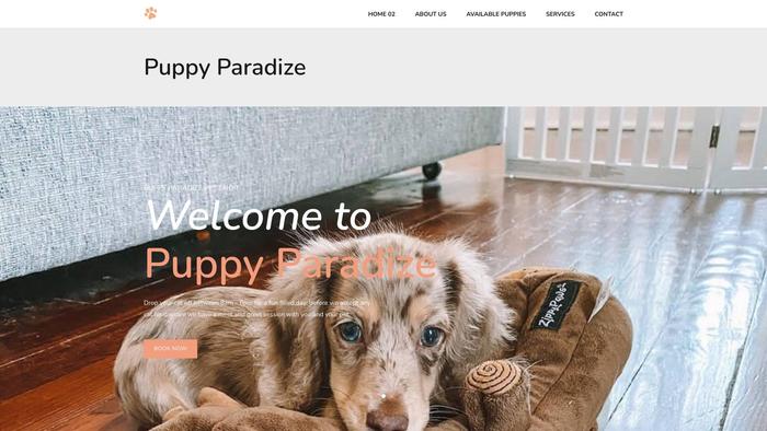 Puppyparadize.com - Dachshund Puppy Scam Review