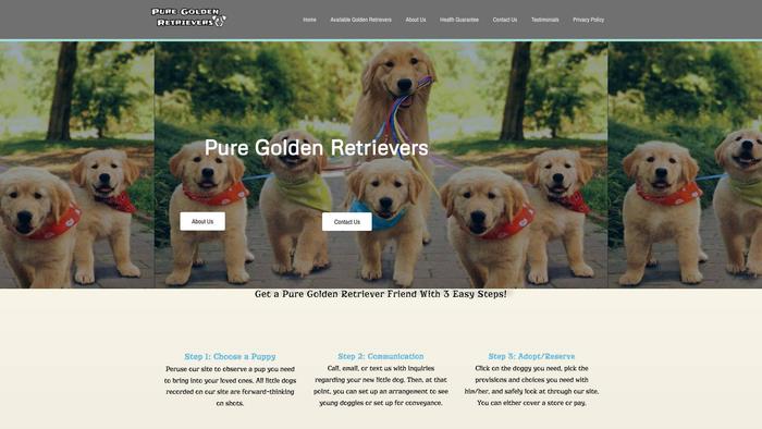 Puregoldenretrieverpups.com - Golden Retriever Puppy Scam Review