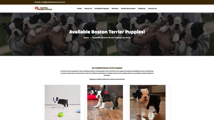 Qualitybostonterriers.com - Boston Terrier Puppy Scam Review