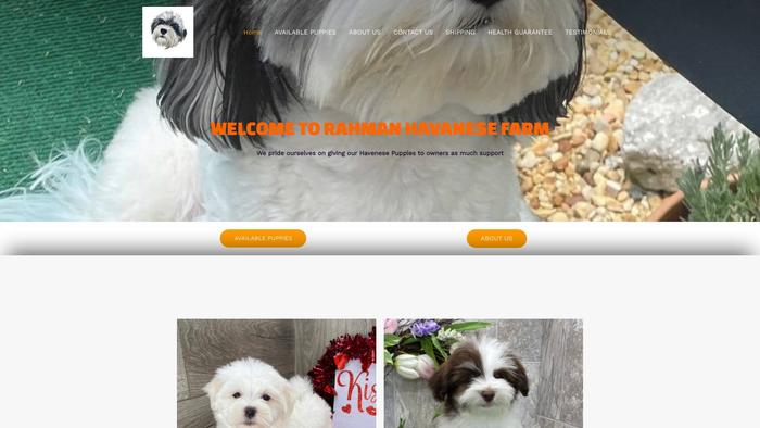 Rahmanhavanesefarm.com - Havanese Puppy Scam Review