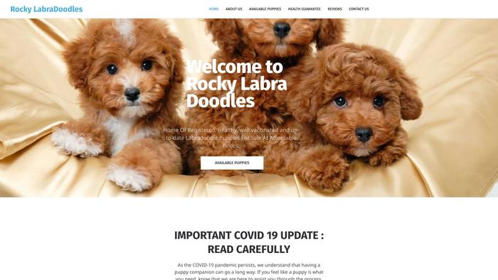 Rockylabradoodles.com - Labradoodle Puppy Scam Review