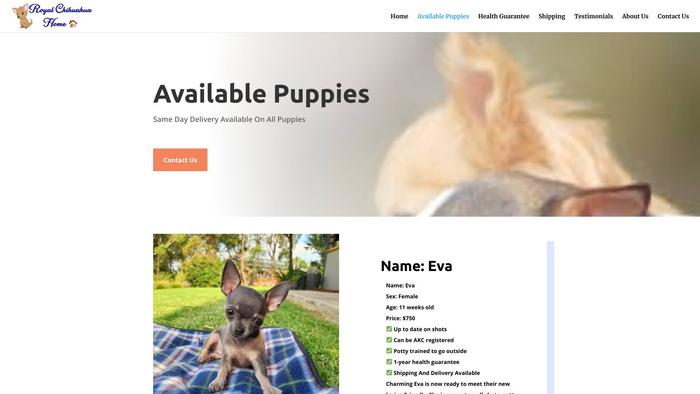 Royalchihuahuahome.com - Chihuahua Puppy Scam Review