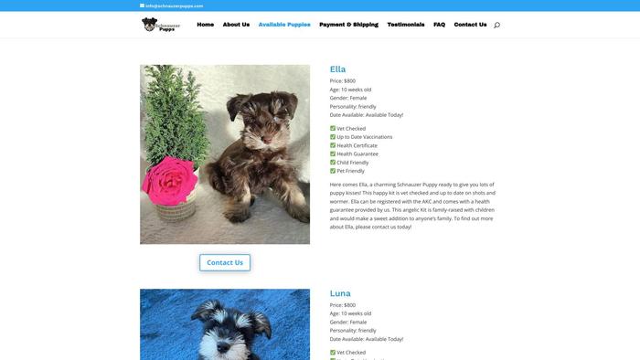 Schnauzerpupps.com - Schnauzer Puppy Scam Review