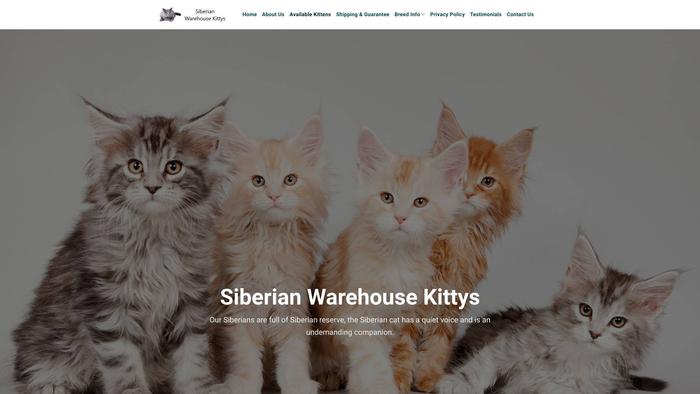 Siberianwarehousekittys.com - Husky Puppy Scam Review