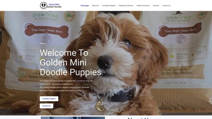 Smartminigoldendoodle.com - Golden Doodle Puppy Scam Review