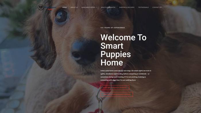 Smartpuppieshome.net - Poodle Puppy Scam Review