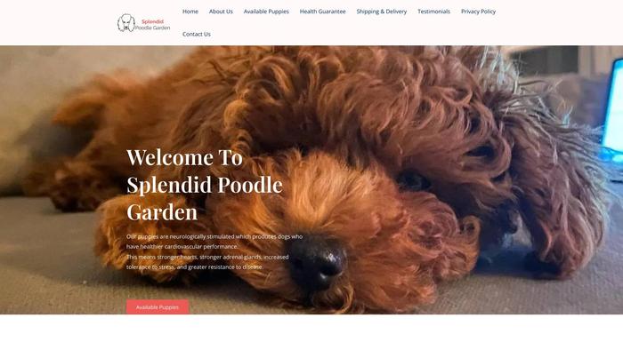 Splendidpoodlegarden.net - Poodle Puppy Scam Review