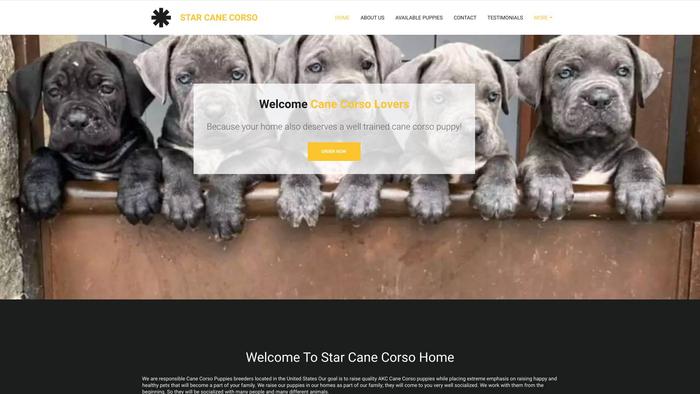 Starcanecorsohome.com - Cane Corso Puppy Scam Review