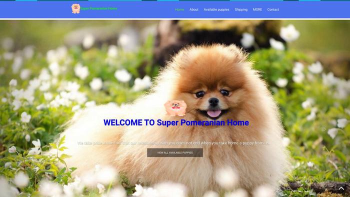 Superpomeranians.com - Pomeranian Puppy Scam Review