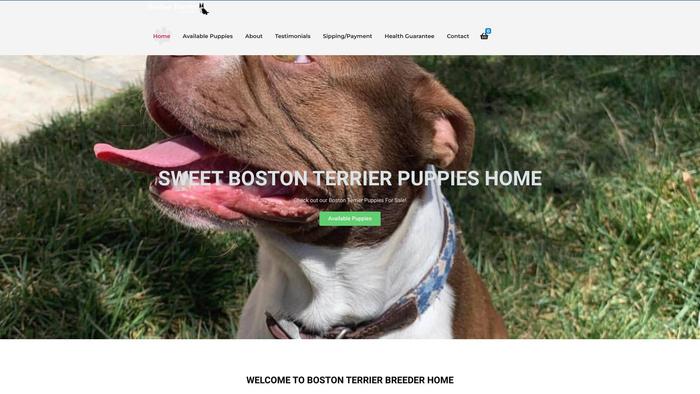 Sweetbostonterrierpuppieshome.com - Boston Terrier Puppy Scam Review