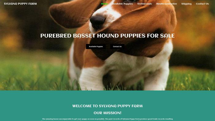 Sylvanapuppyfarm.com - Bassethound Puppy Scam Review