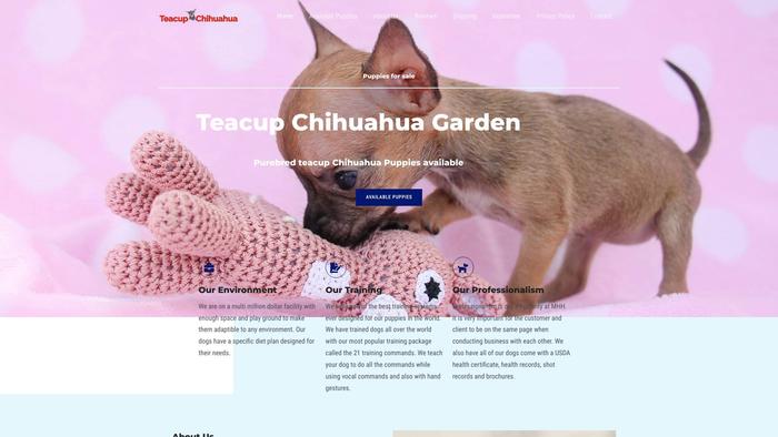 Teacupchihuahuagarden.com - Chihuahua Puppy Scam Review