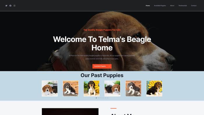 Telmasbeaglehome.com - Beagle Puppy Scam Review