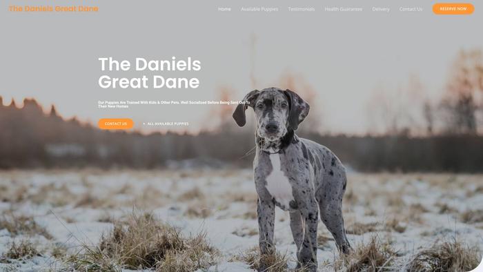 Thedanielsgreatdane.com - Great Dane Puppy Scam Review