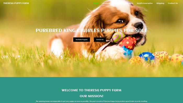 Theresapuppyfarm.com - Cavalier King Charles Spaniel Puppy Scam Review