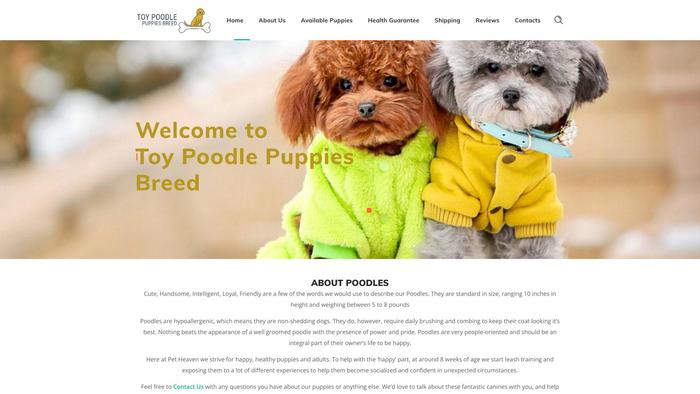 Toypoodlepuppiesbreed.com - Poodle Puppy Scam Review